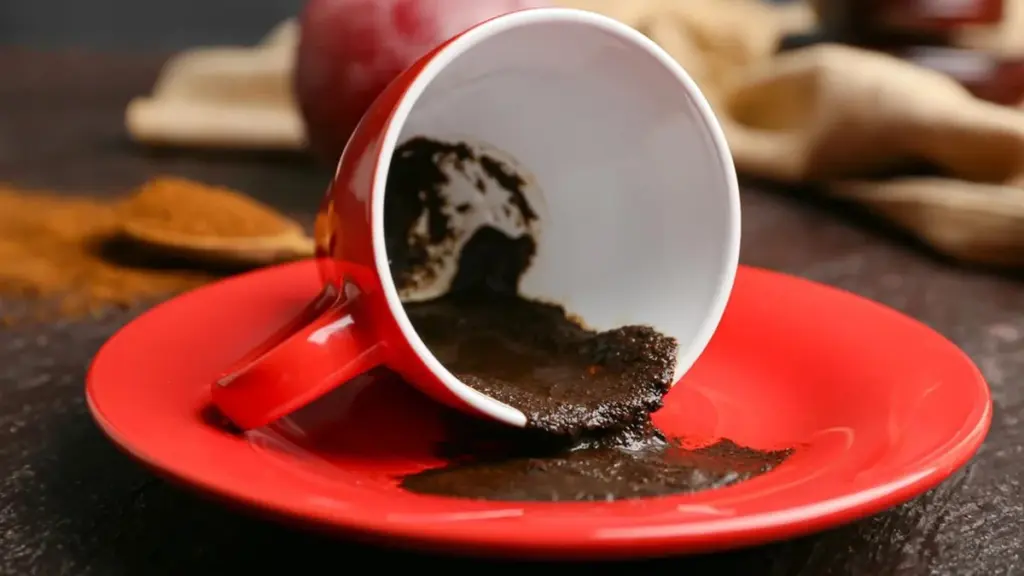 L&rsquo;erreur fatale avec le marc de café : mal utilisé, ce « miracle maison » étouffe vos racines