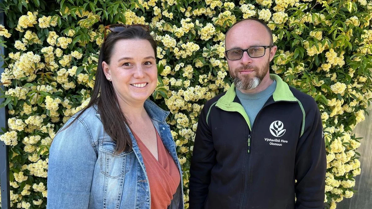 Ces 5 roses championnes illumineront votre jardin comme un parc de château